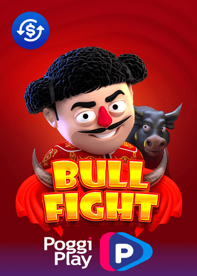 Bull Fight