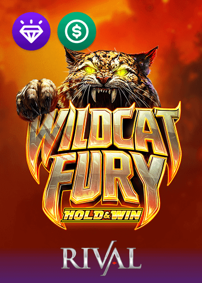 Wildcat Fury
